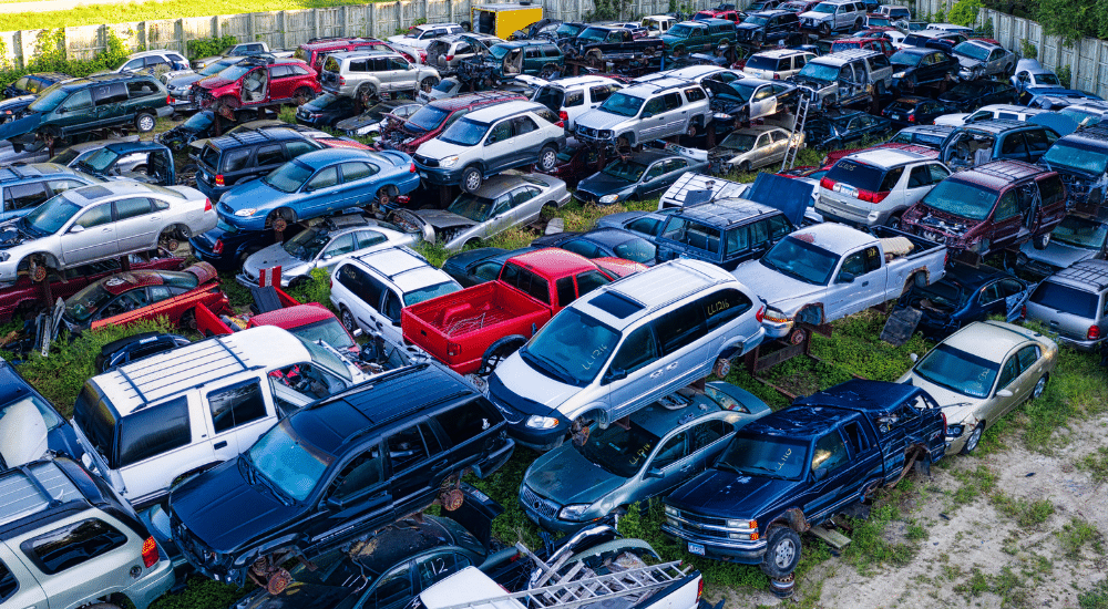 a photo of cars in a junk yard